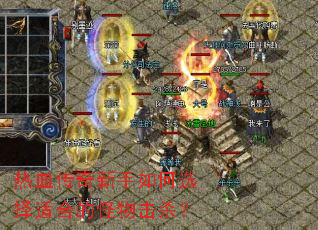 ��Ѫ�����������ѡ���ʺϵĹ����ɱ��