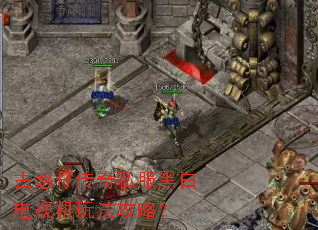 �Ż��д���˽���ڰ׵��ӻ��淨���ԣ�