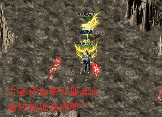 �Ż��д���˽���ڰ׵��ӻ��淨���ԣ�