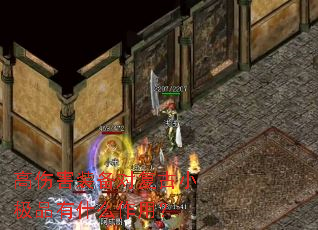 ���˺�װ���Ը���С��Ʒ��ʲô���ã�