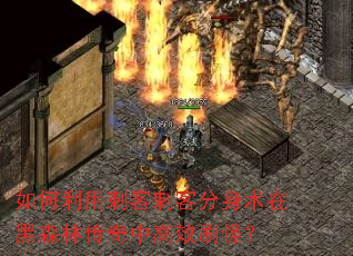 ������ô̿ʹ̿ͷ������ں�ɭ�ִ����и�Чˢ�֣�