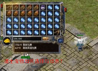 ��ʿ�������ѡ����������