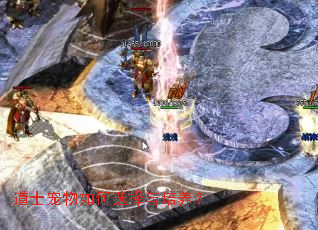 ��ʿ�������ѡ����������