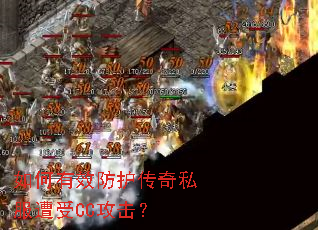 �����Ч��������˽������CC������