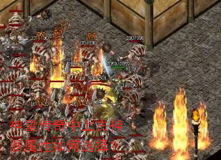 ��ʴ������Ϲ������������ѡ��