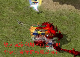 ɢ����Һͼ����лᣬ�ĸ����ʺϴ���˽����չ��