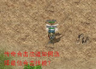 传奇合击法道如何选择最佳合击技能? 传奇合击法道如何选择最佳合击技能?