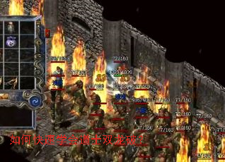 ��ο���ѧ���ʿ˫���ƣ�