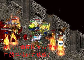 �����ȷʹ�ø��Ŵ����еĴ洢���鹦�ܣ�