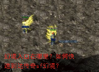 �þ�����������ο��ٵ��ﴫ��sf�þ���