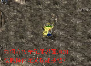 ����ڴ���˽���������ӻ�ɾ���Զ��幦�ܰ�ť��