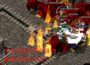 �����ħ��Ұ������ܱ�����Щװ����