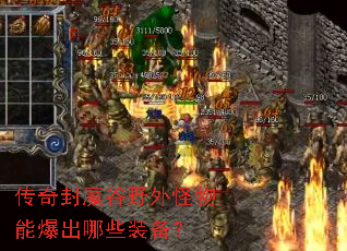 �����ħ��Ұ������ܱ�����Щװ����