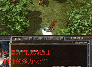 ������γ�Ϊ��ʿְҵ��ǿ����飿