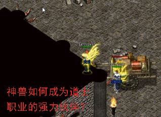 ������γ�Ϊ��ʿְҵ��ǿ����飿