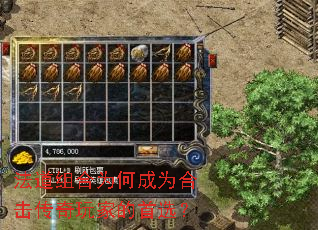 �������Ϊ�γ�Ϊ�ϻ�������ҵ���ѡ��