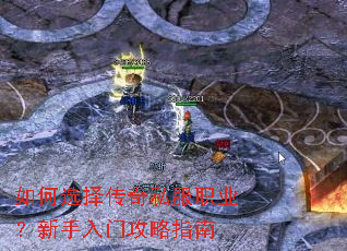 ���ѡ����˽��ְҵ���������Ź���ָ��