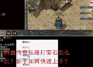 ��Ѫ����˽����ʯ��ô�棿������ο������֣�