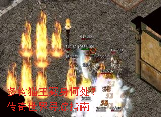 �๳è�������δ�����������Ѱ��ָ��