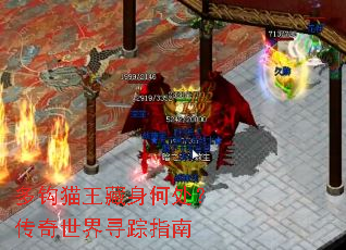 �๳è�������δ�����������Ѱ��ָ��