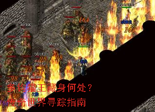 �๳è�������δ�����������Ѱ��ָ��