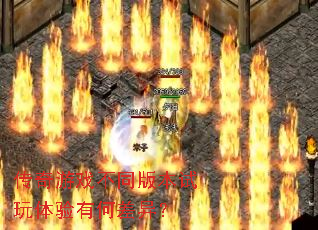 ������Ϸ��ͬ�汾���������кβ��죿