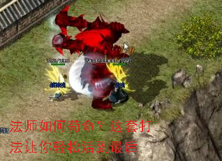 ��ʦ��ι��������״��������ɻ���