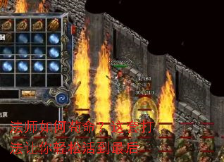 ��ʦ��ι��������״��������ɻ���