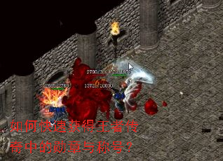 ��ο��ٻ�����ߴ����е�ѫ����ƺţ�