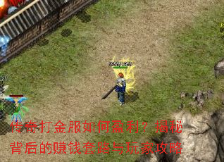 ����������ӯ�������ر����׬Ǯ��·����ҹ���