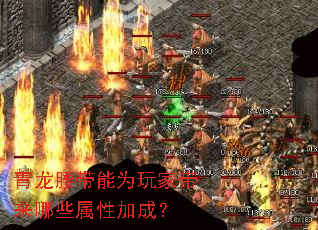 ����������Ϊ��Ҵ�����Щ���Լӳɣ�