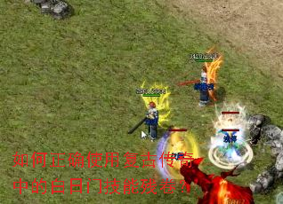 �����ȷʹ�ø��Ŵ����еİ����ż��ܲо���