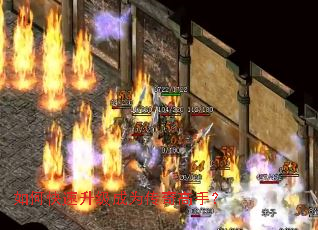 ��ο���������Ϊ������֣�