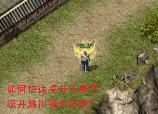 如何快速提升元神等级并解锁强大技能? 如何快速提升元神等级并解锁强大技能?