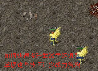 ��ο���������������ֵ��������Щ��������ս������