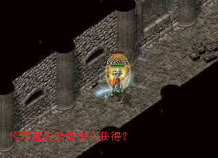 �������ѫ����ô��ã�