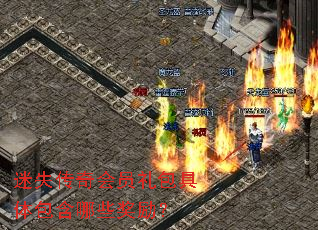 ��ʧ�����Ա������������Щ������