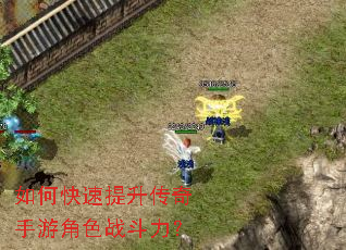 ��ο��������������ν�ɫս������