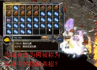 法战合击为何被称为私服中的隐藏杀招? 法战合击为何被称为私服中的隐藏杀招?