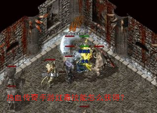 ��Ѫ�������κ춾������ô��ã�