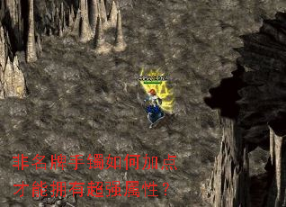 非名牌手镯如何加点才能拥有超强属性? 非名牌手镯如何加点才能拥有超强属性?