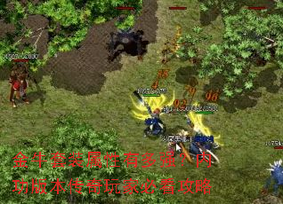 ��ţ��װ�����ж�ǿ���ڹ��汾������ұؿ�����