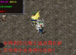 如何利用均衡之道凝霜在新开传奇中发挥独特优势? 如何利用均衡之道凝霜在新开传奇中发挥独特优势?