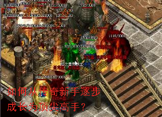 ��δӴ��������𲽳ɳ�Ϊ������֣�