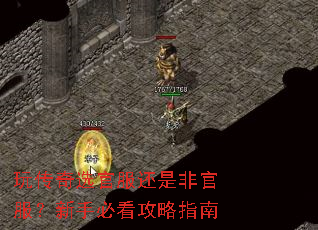 �洫��ѡ�ٷ����Ƿǹٷ������ֱؿ�����ָ��