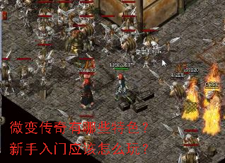 ΢�䴫������Щ��ɫ����������Ӧ����ô�棿