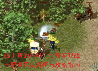 战士真的弱吗?传奇游戏战士职业深度解析与攻略指南 战士真的弱吗?传奇游戏战士职业深度解析与攻略指南