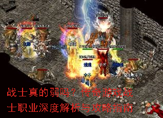 սʿ������𣿴�����Ϸսʿְҵ��Ƚ����빥��ָ��