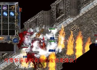 传奇怀旧服孵化哪些宠物最赚钱? 传奇怀旧服孵化哪些宠物最赚钱?