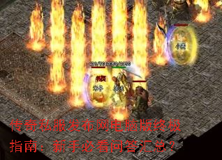 ����˽�����������԰��ռ�ָ�ϣ����ֱؿ��ʴ���ܣ�